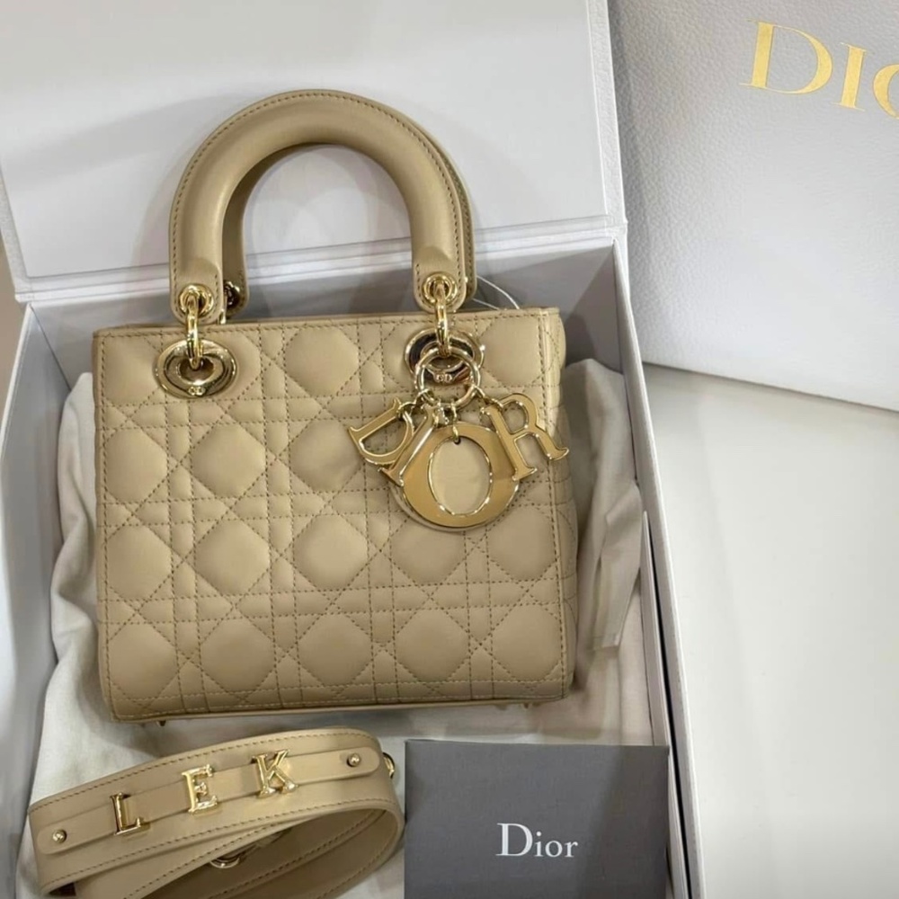 Dior Bag - Picture 1 of 1
